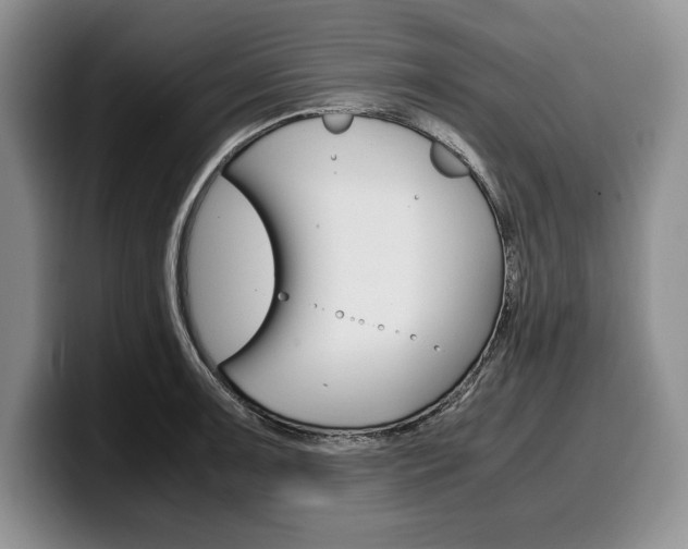 X0000100341091200806051220
