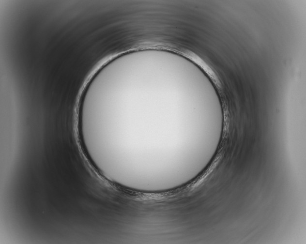 X0000100341094200806051220