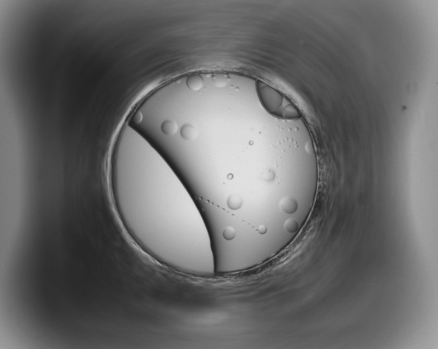 X0000100341095200806051220