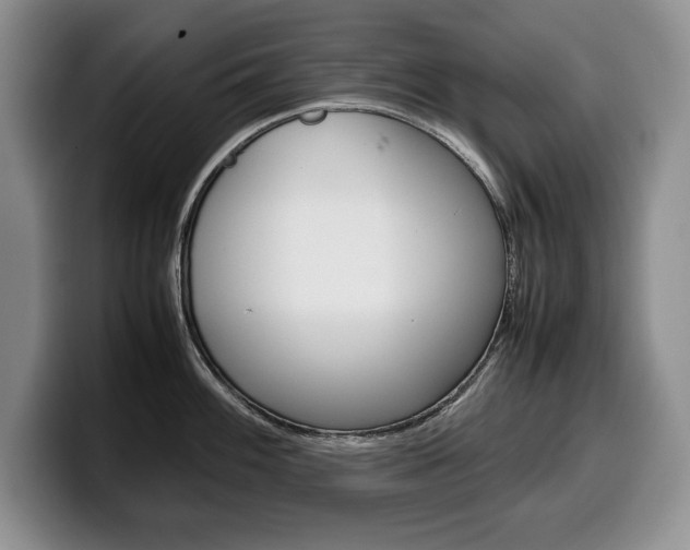 X0000100341100200806051219