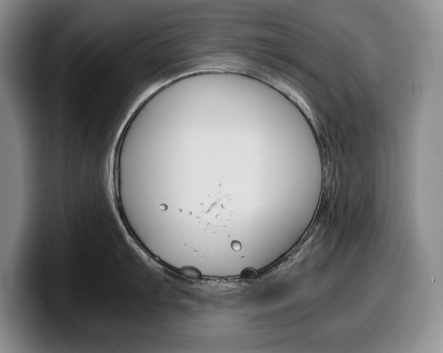 X0000100341103200806051219