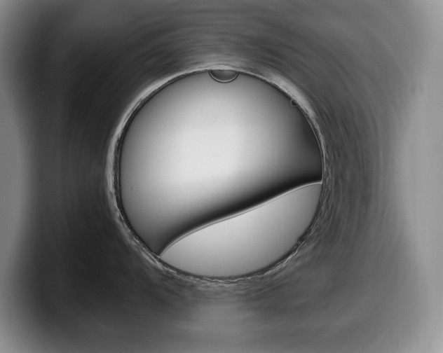 X0000100341104200806051219