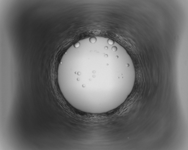 X0000100341105200806051219