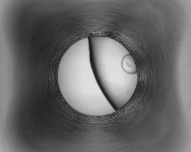 X0000100341106200806051219