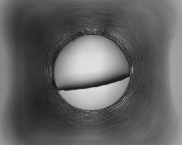 X0000100341107200806051219