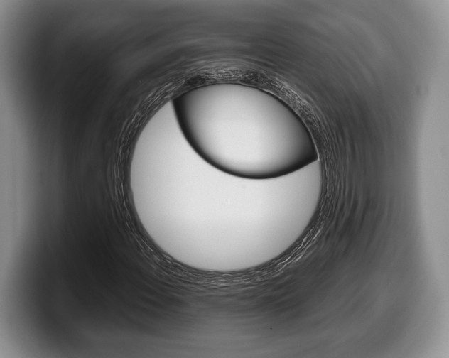 X0000100341108200806051219