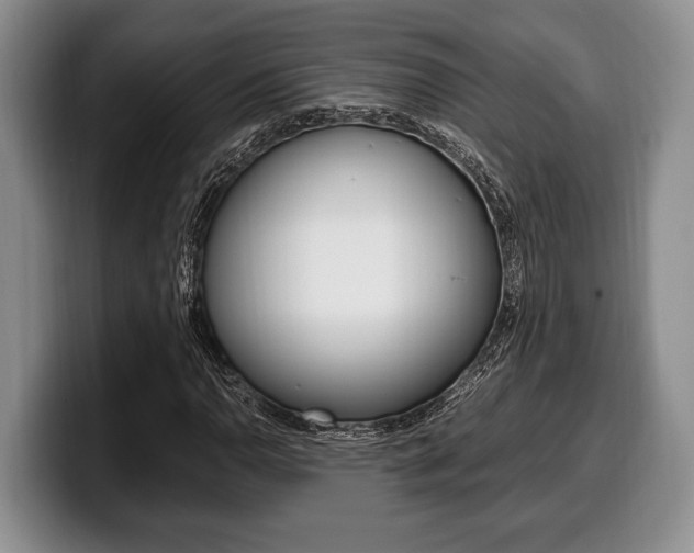 X0000100341110200806051219