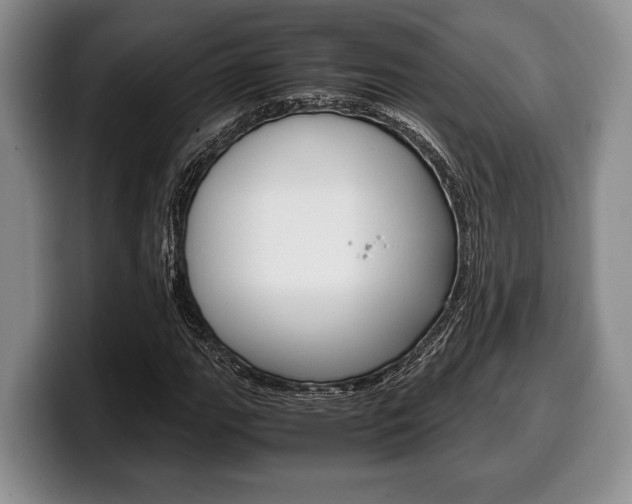 X0000100341111200806051219