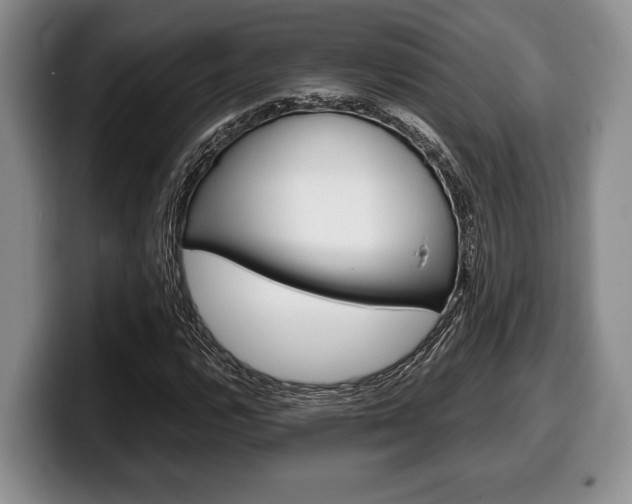 X0000100341112200806051219
