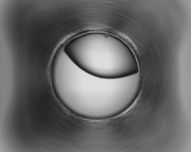 X0000100341114200806051219