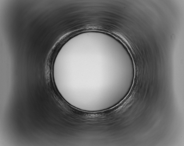 X0000100341115200806051219
