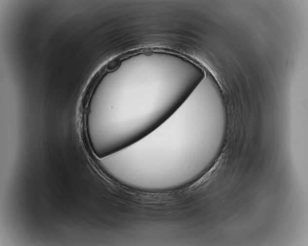 X0000100341119200806051219