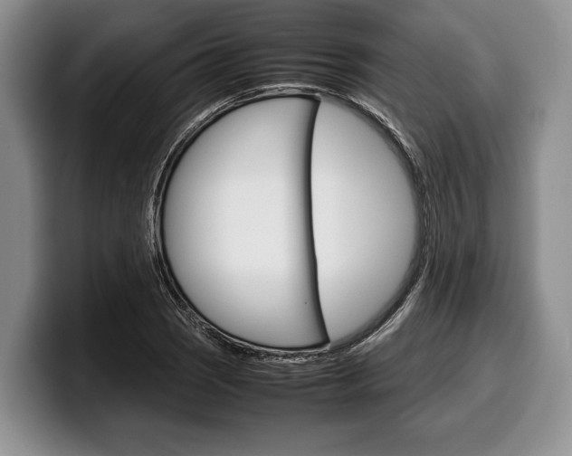 X0000100341121200806051219