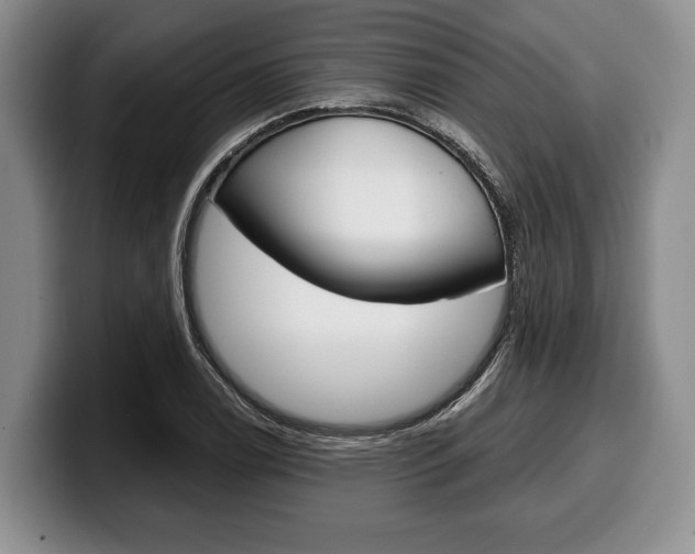 X0000100341122200806051219