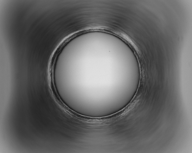 X0000100341124200806051219
