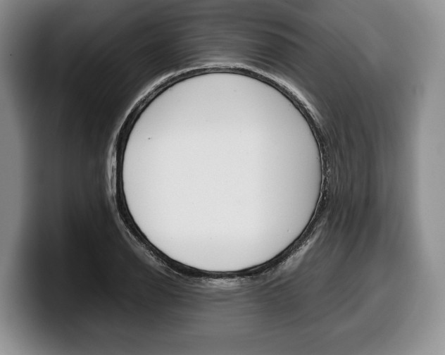 X0000100341126200806051219