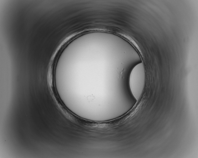 X0000100341131200806051219