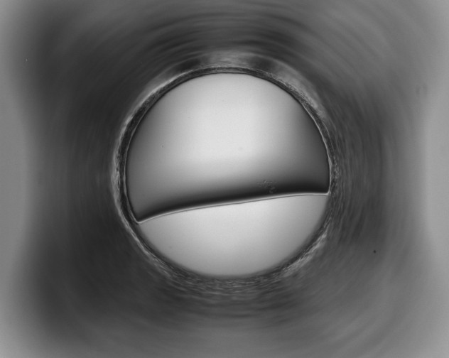 X0000100341133200806051219