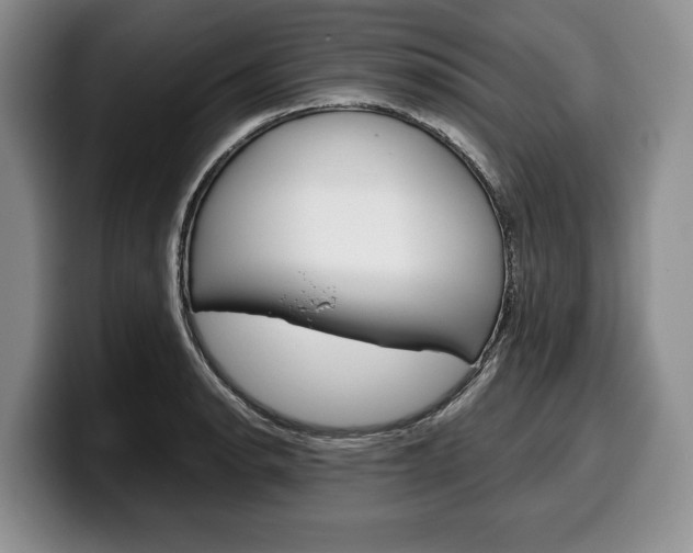 X0000100341134200806051219