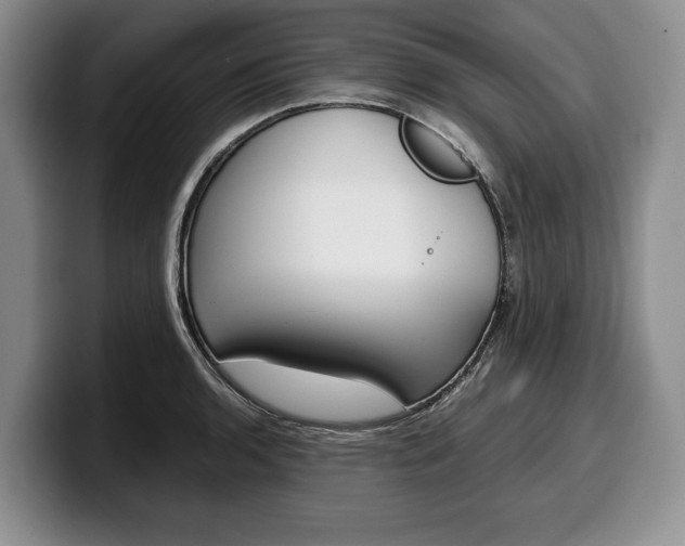X0000100341136200806051219