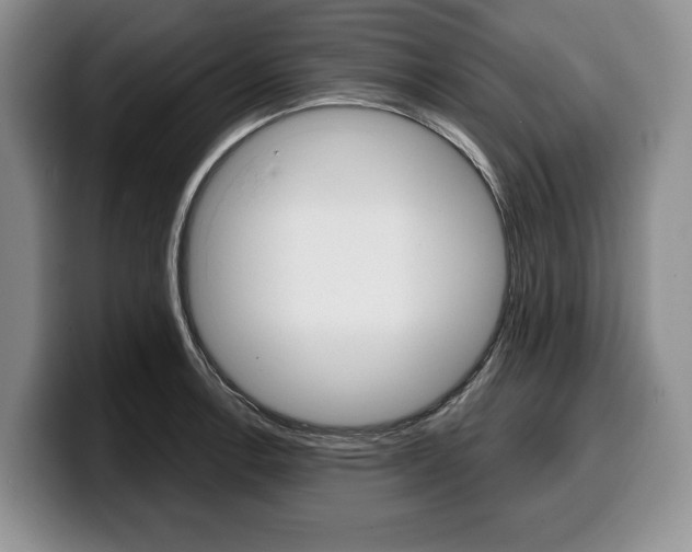 X0000100341138200806051219