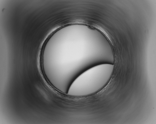 X0000100341139200806051219