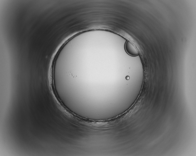 X0000100341140200806051219