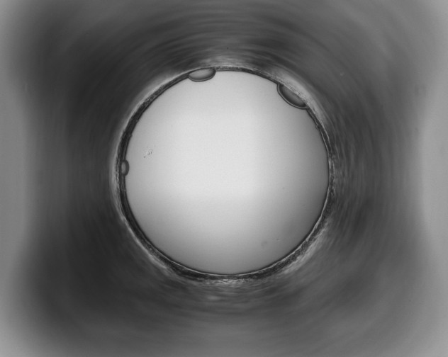 X0000100341141200806051219