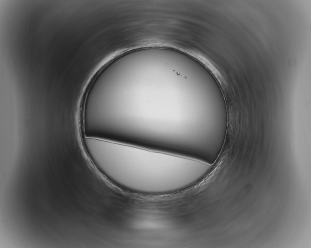 X0000100341142200806051219