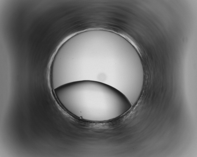 X0000100341143200806051219