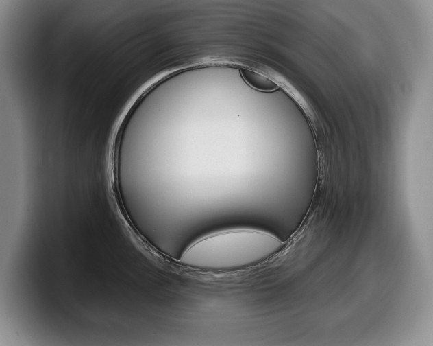 X0000100341148200806051219