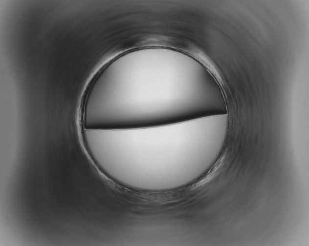 X0000100341149200806051219