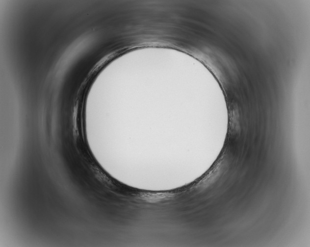 X0000100341150200806051219