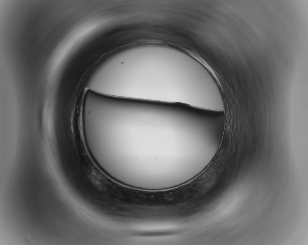 X0000100341151200806051219