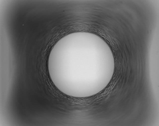 X0000100341153200806051219