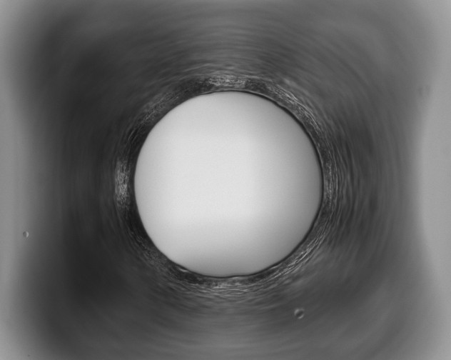 X0000100341154200806051219