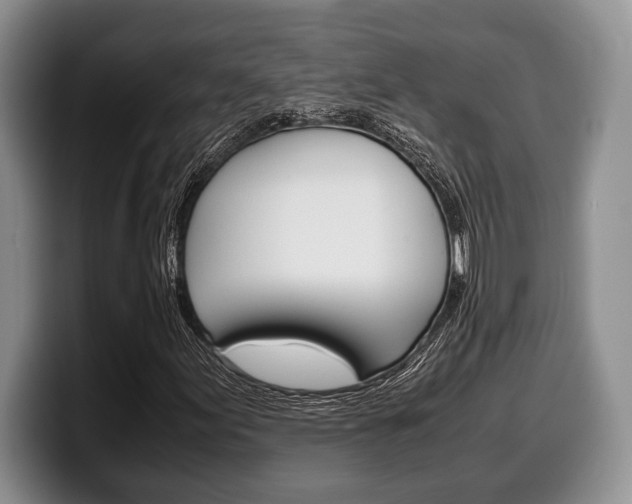 X0000100341155200806051219