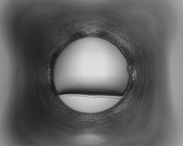 X0000100341156200806051219