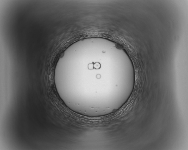 X0000100341157200806051219