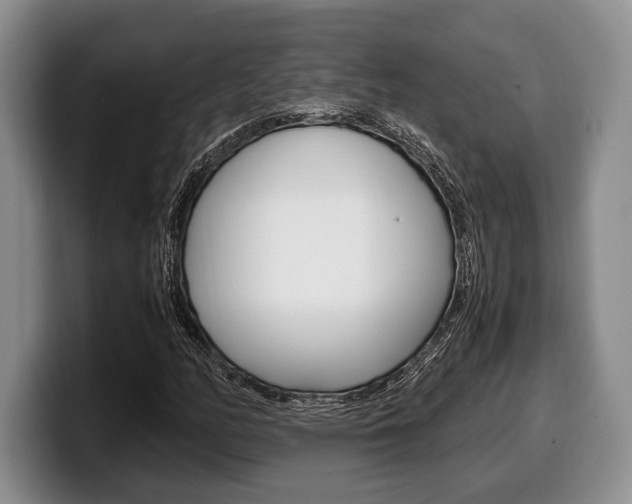 X0000100341158200806051219