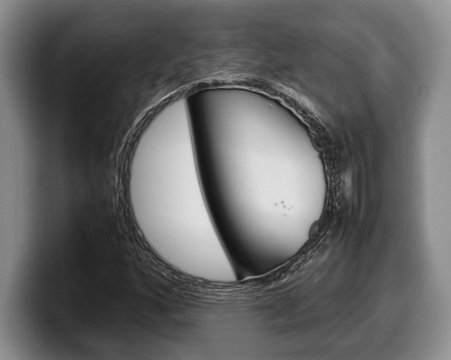 X0000100341160200806051219