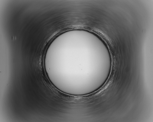 X0000100341162200806051219