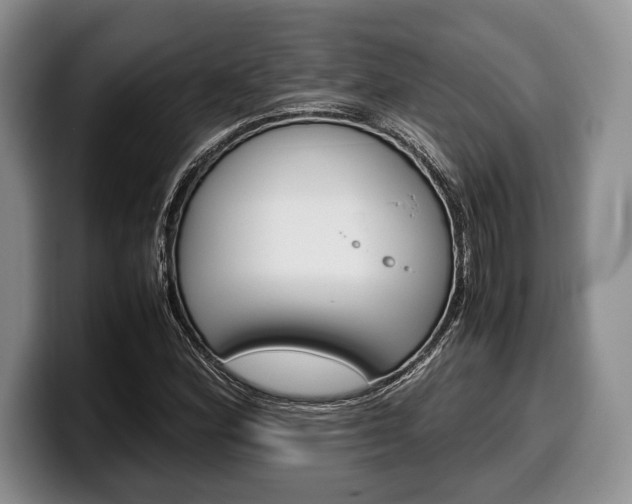 X0000100341164200806051219