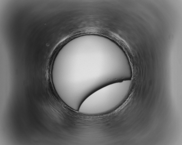 X0000100341166200806051219
