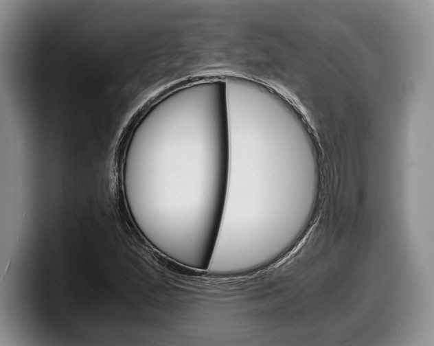 X0000100341167200806051219