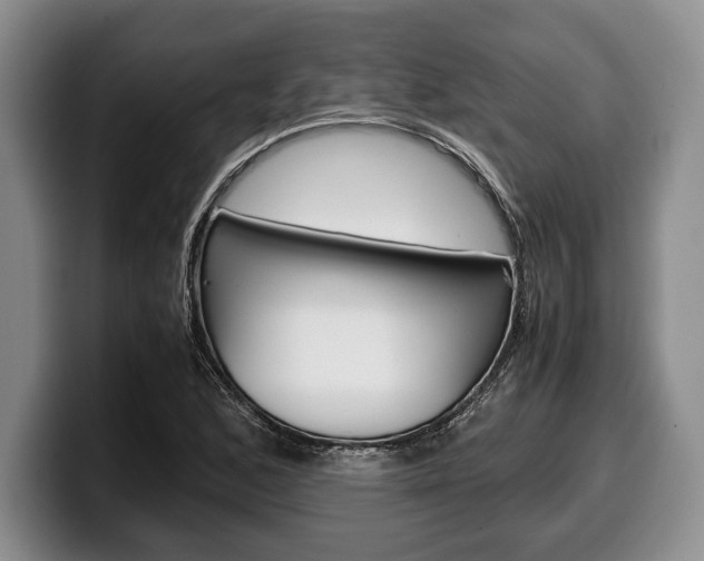 X0000100341168200806051219