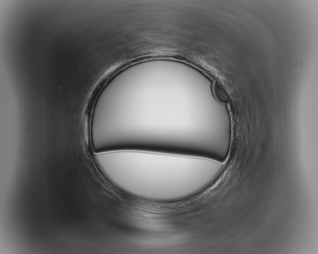 X0000100341171200806051218