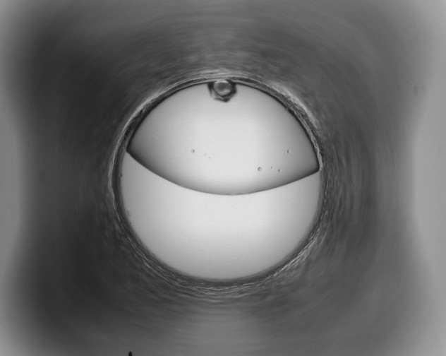 X0000100341173200806051218