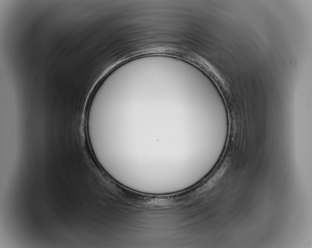 X0000100341178200806051218