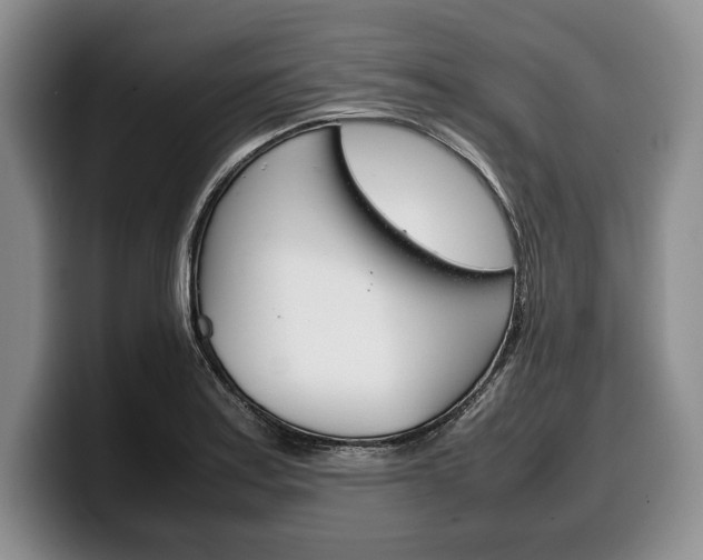 X0000100341179200806051218